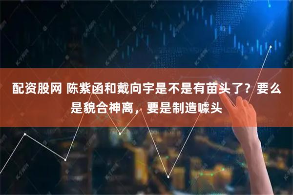 配资股网 陈紫函和戴向宇是不是有苗头了？要么是貌合神离，要是制造噱头