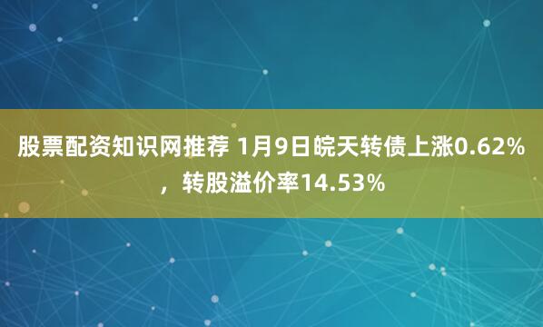 股票配资知识网推荐 1月9日皖天转债上涨0.62%，转股溢价率14.53%